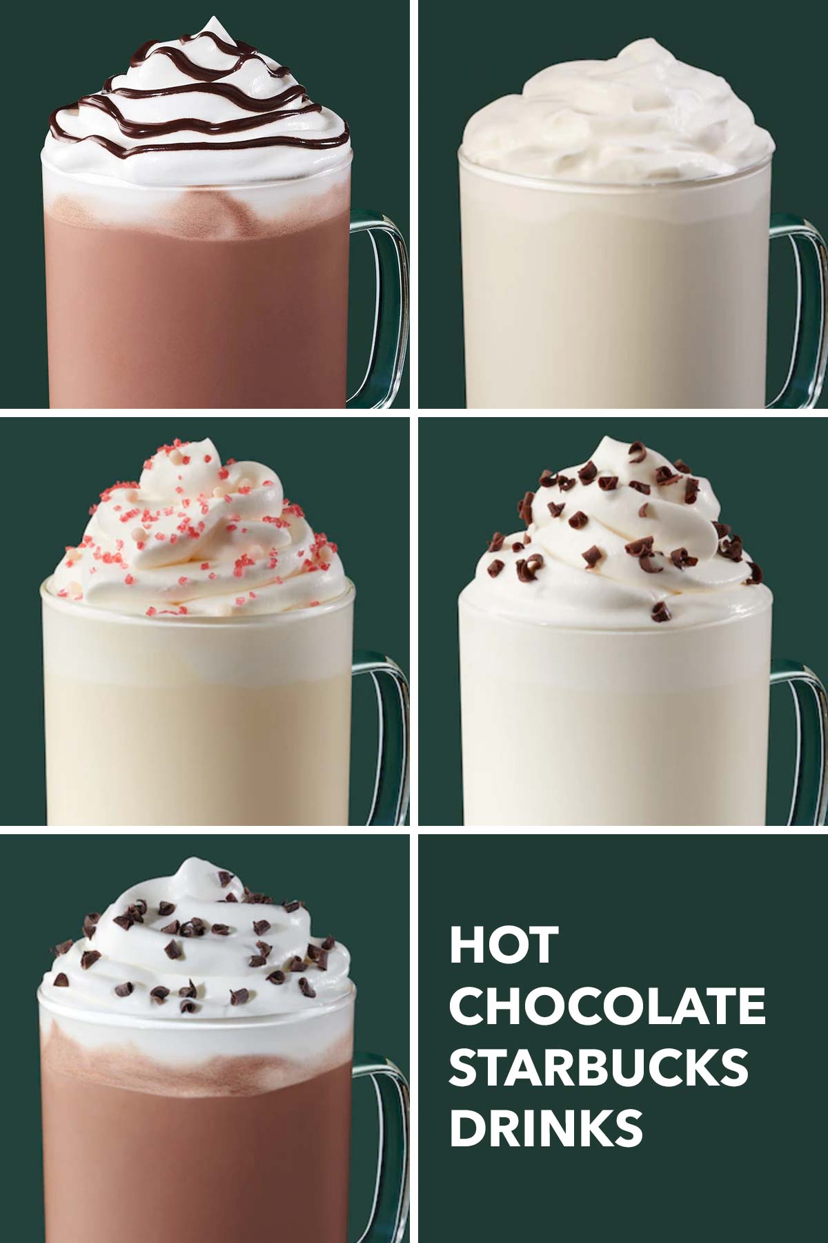 Five hot chocolate drinks from Starbucks.