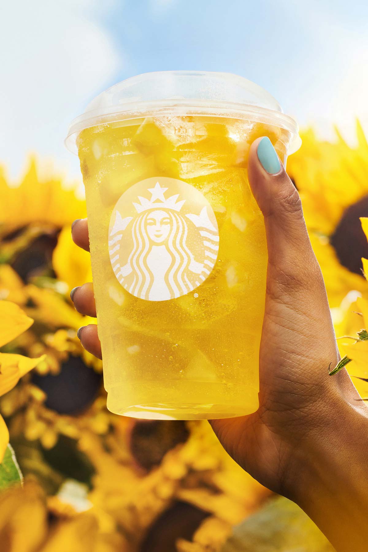 Iced yellow Starbucks drinks held up by hand in a field of sunflowers.