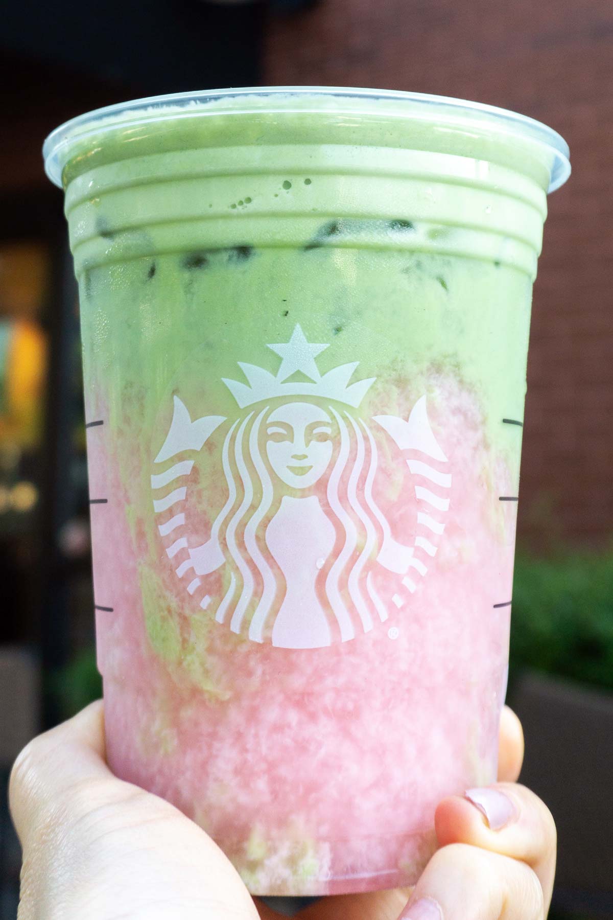 How to Order Starbucks Strawberry Matcha Drink From TikTok